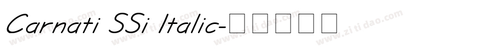 Carnati SSi Italic字体转换